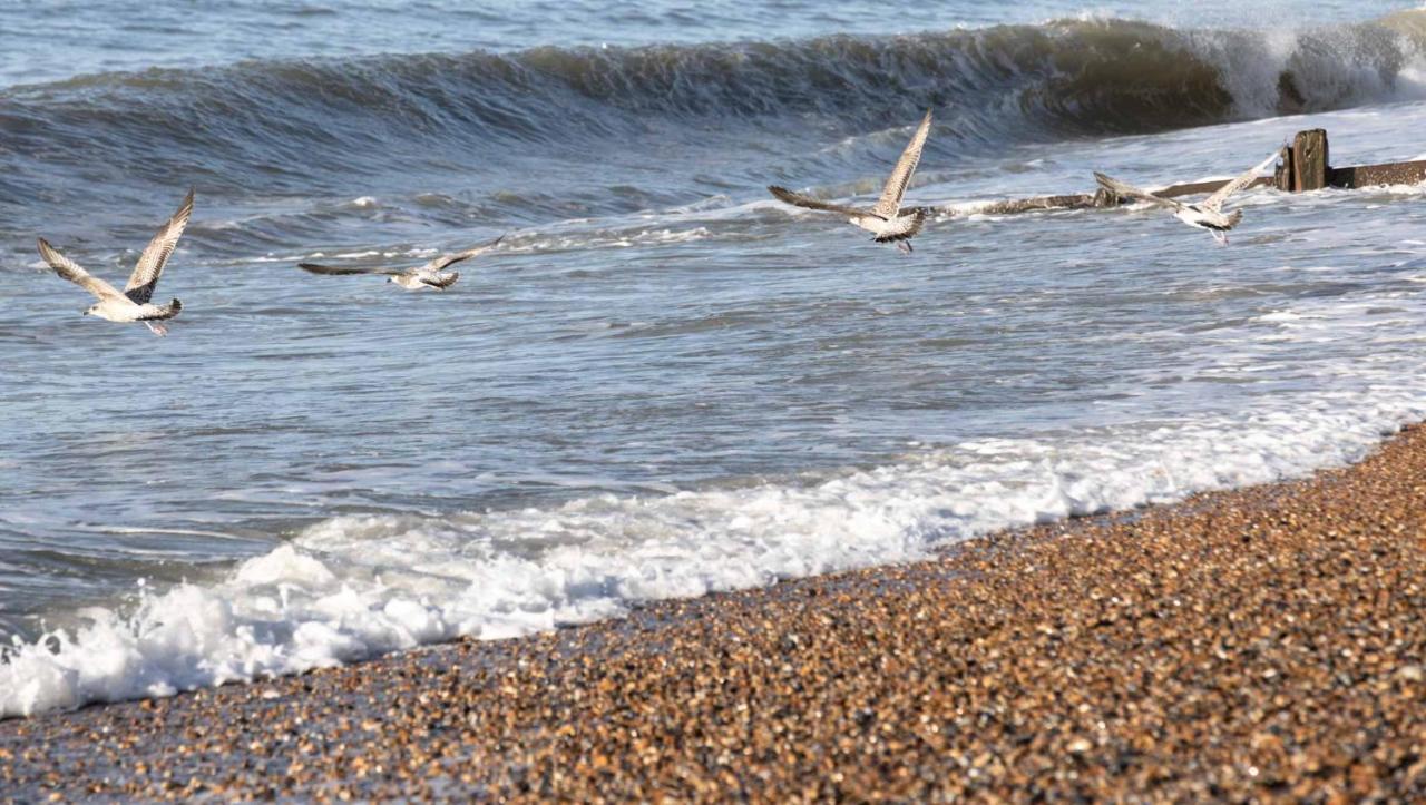 The Relais Cooden Beach And Spa Bexhill-on-Sea المظهر الخارجي الصورة